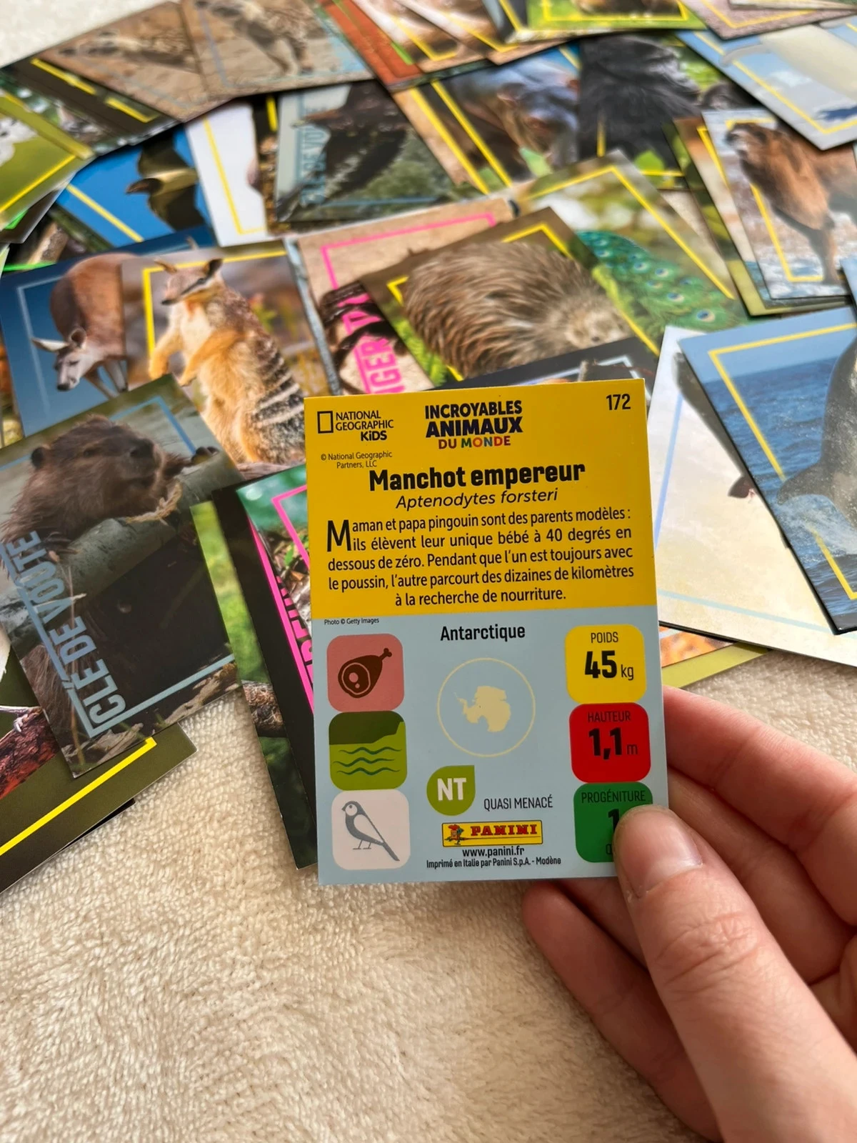set nationale geografie dierenkaarten 🐾🌍 – photo 4